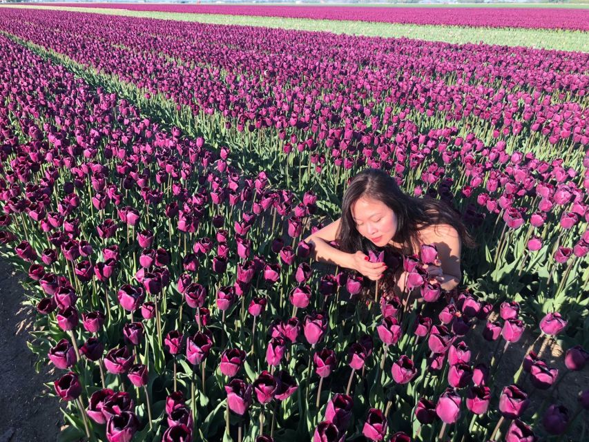 From Amsterdam: Small Group Keukenhof & City Tour Delft - Pace and logistics: walking time, what to bring, and where things can go wrong