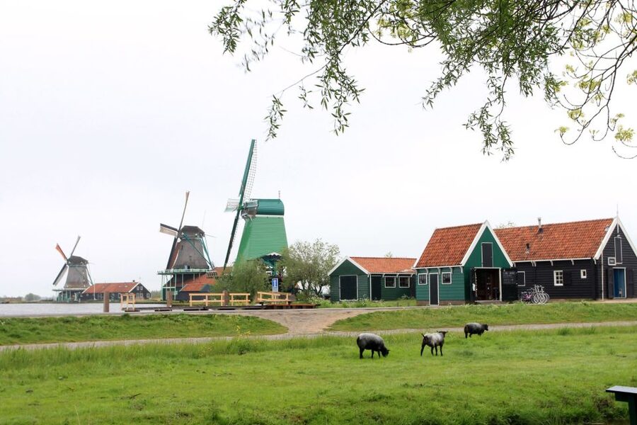 From Amsterdam: Windmills of Zaanse Schans Tour - Optional windmill inside visit: what it means for your experience