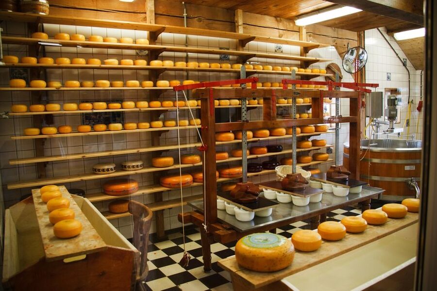 From Amsterdam: Windmills, Volendam, & Marken Private Tour - Cheese Farm Time at Henri Willig: Tasting Plus Robot Cow Fun