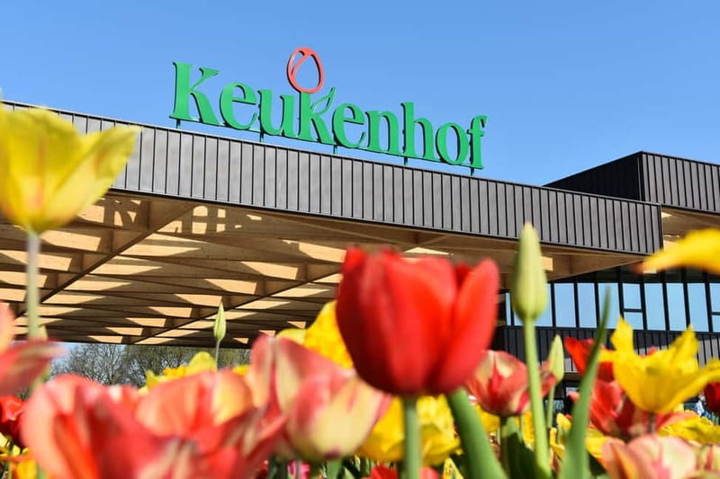 From Brussels: Keukenhof & Windmills Full-Day Guided Tour - Kinderdijk and that boat cruise perspective