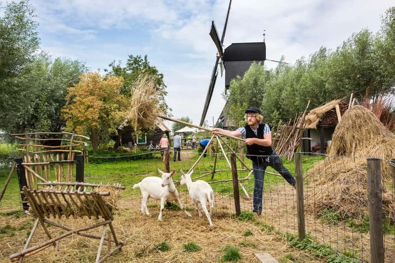From Brussels: Keukenhof & Windmills Full-Day Guided Tour - Scenic flower fields, and how to make the most of them