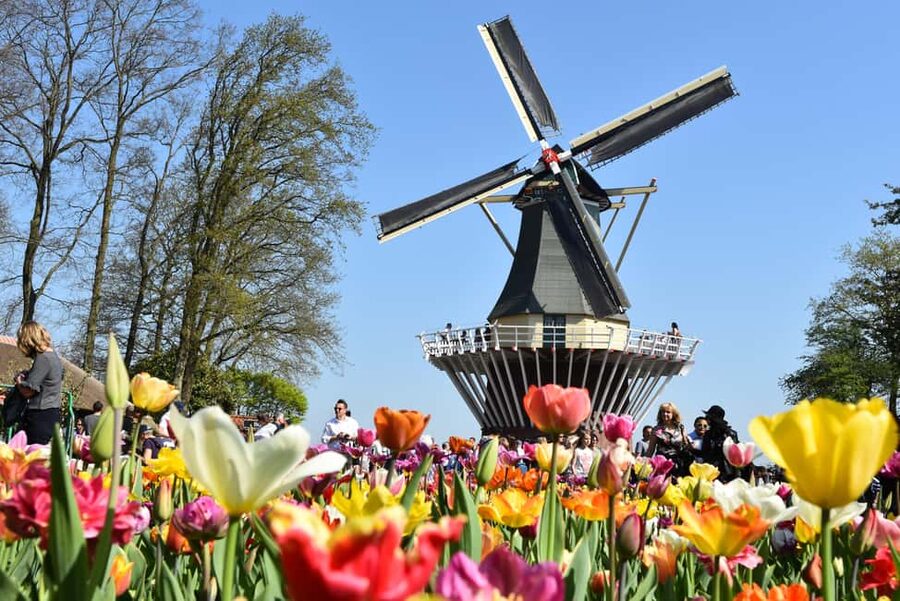 From Brussels: Keukenhof & Windmills Full-Day Guided Tour - Belgium Beer World Experience, a fun add-on after the main day