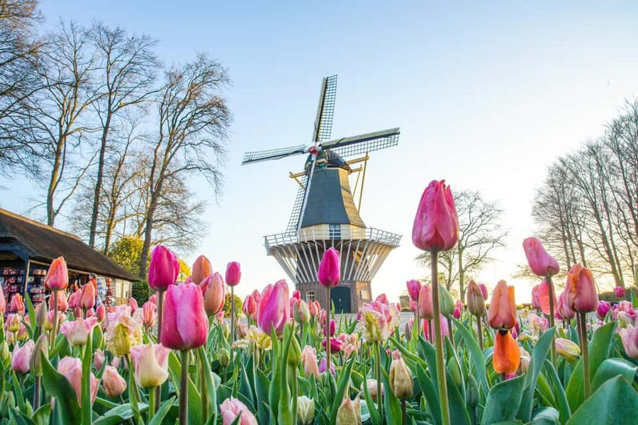 From Brussels: Keukenhof & Windmills Full-Day Guided Tour - Price and value: is $144 a good deal for this 12-hour day?