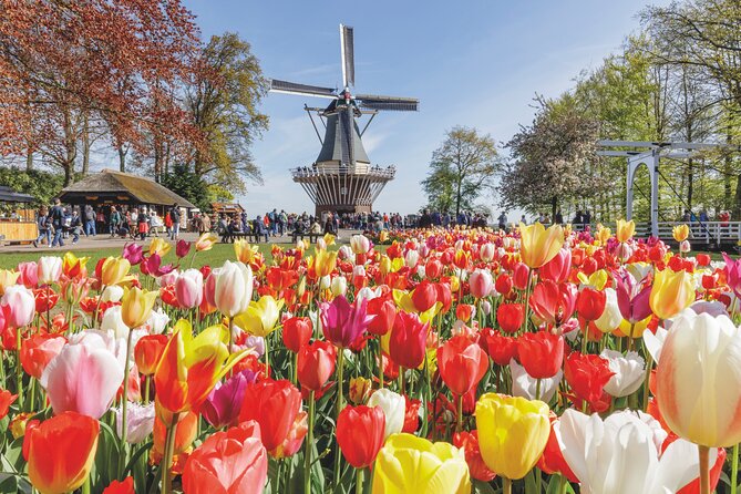 Full-Day Skip the Line Keukenhof and Canal Cruise from Amsterdam - Key highlights at a glance
