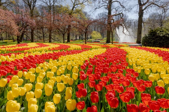 Full-Day Skip the Line Keukenhof and Canal Cruise from Amsterdam - Amsterdam Canal Ring Cruise: Choose Your Slot, Then Sit Back for 60 Minutes