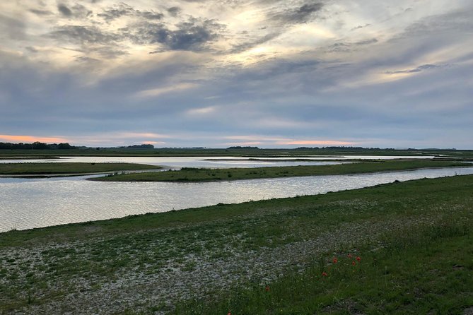 Full day tour to Texel - Friesian Islands - from Amsterdam - Optional seal safari: when it is worth the extra €35