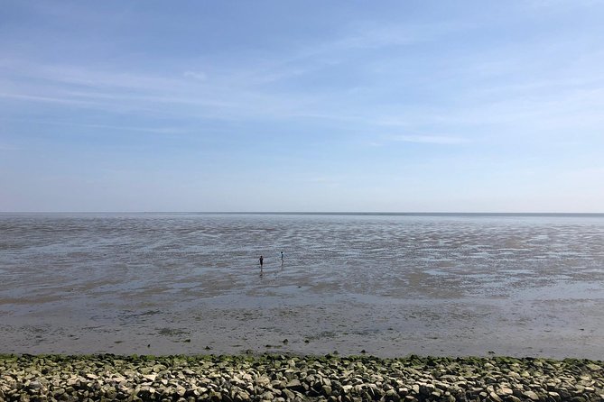 Full day tour to Texel - Friesian Islands - from Amsterdam - Value and pricing: what $299.57 is really paying for