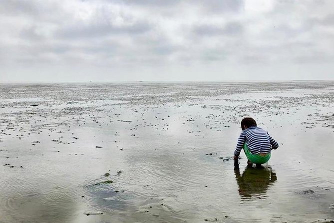Full day tour to Texel - Friesian Islands - from Amsterdam - Weather reality check: why this tour can be great even when it is not perfect