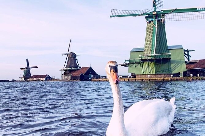 Giethoorn, Private Boat Tour & Zaanse Schans Windmills - Time management: where the day feels relaxed and where you must plan