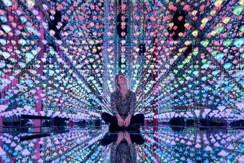 Go City Amsterdam Pass: Attractions Pass with Rijksmuseum - Who this pass is best for, and who should reconsider