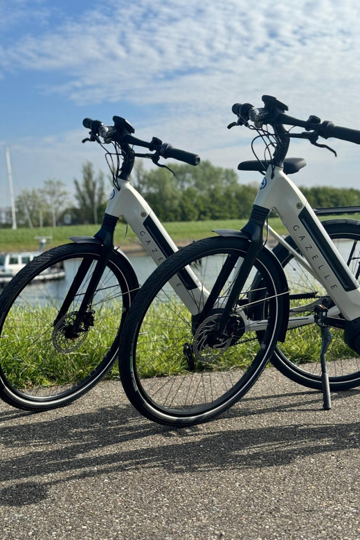 Goes: Full-Day E-Bike Rental - Oosterschelde National Park: Your Big Nature Hit
