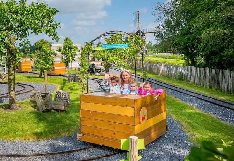 Groot-Ammers: Adventure Farm Molenwaard Entry Ticket - Traditional Crafts, Windmill Views, and the Wooden Shoes Moment