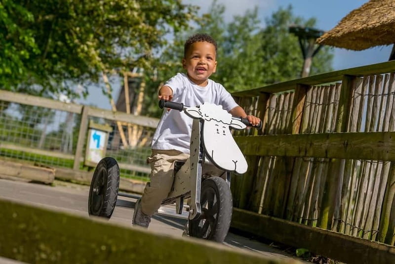 Groot-Ammers: Adventure Farm Molenwaard Entry Ticket - Price and Value: Is a $27 Ticket a Good Deal?