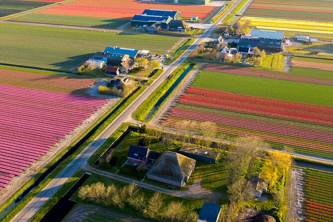 Guided Bike Tour along the Dutch Tulip Fields in Noord Holland - Key things to know before you go