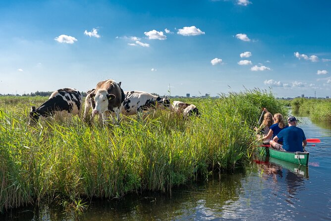Guided Canoe Adventure with Picnic Lunch in Waterland from Amsterdam - Key things to know before you paddle