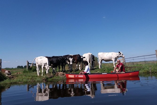 Guided Canoe Adventure with Picnic Lunch in Waterland from Amsterdam - Stop for a picnic on an island, with local food you can actually taste