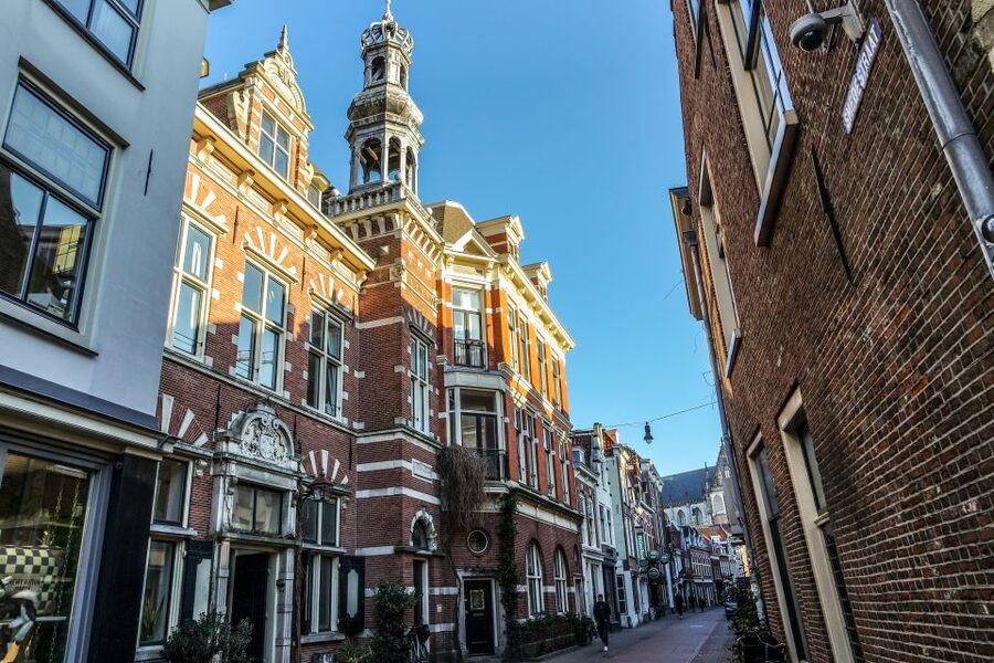 Haarlem: City Highlights Walking Tour - Teylers Museum and the Thoughtful Stops Beyond the Obvious