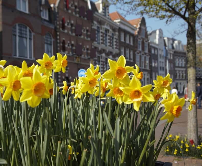 Haarlem: Food Tour - Haarlem beer history in a converted church
