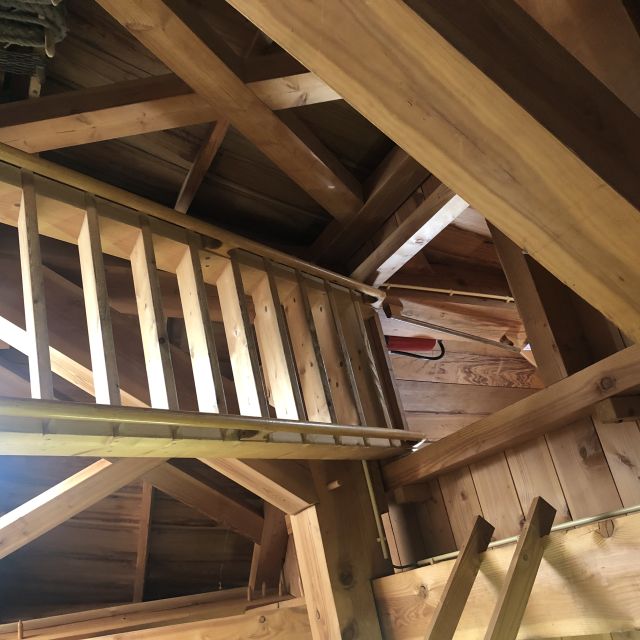 Haarlem: Windmill 'De Adriaan' Guided Tour - Quick highlights you should know