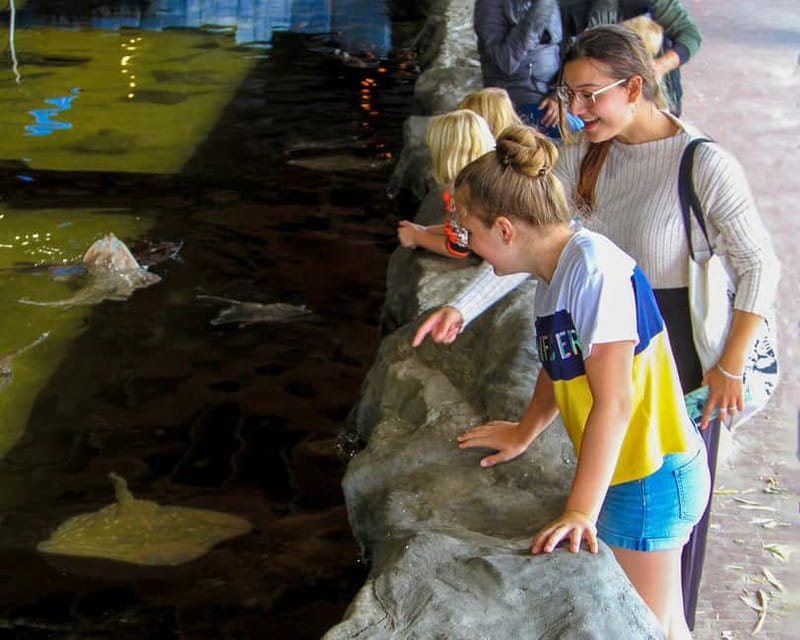 Harderwijk: Dolfinarium Entry Ticket - Price and value: is $28 per person a good deal?