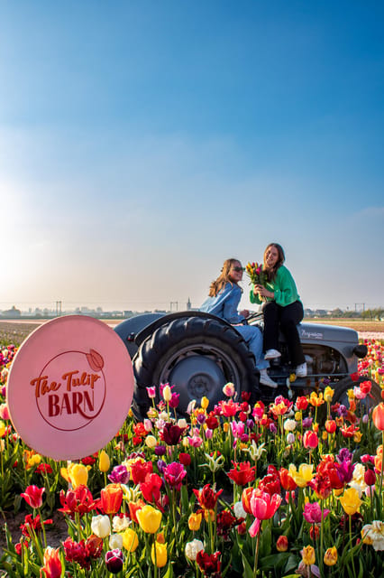 Hillegom: Tulip Barn Entry Ticket - Price and value: is $12 a good deal for tulip season?