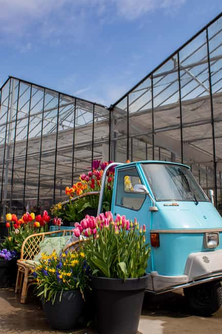 Hillegom: Tulip Barn Entry Ticket - Photo props and tulip selfies, without turning it into work