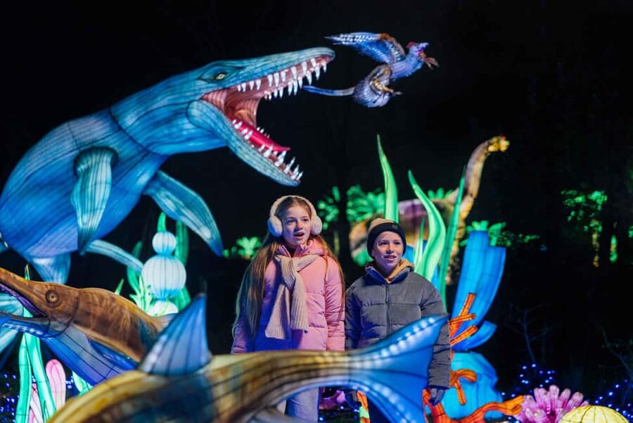 Hilvarenbeek: Light Safari at Beekse Bergen - Key highlights worth planning for