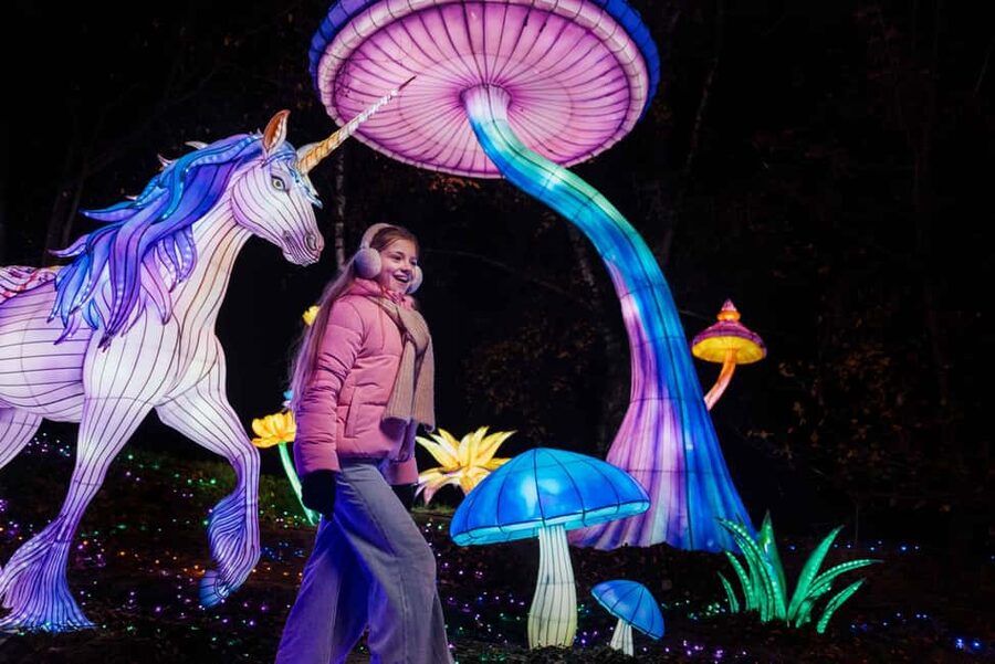 Hilvarenbeek: Light Safari at Beekse Bergen - A winter evening worth leaving the couch for