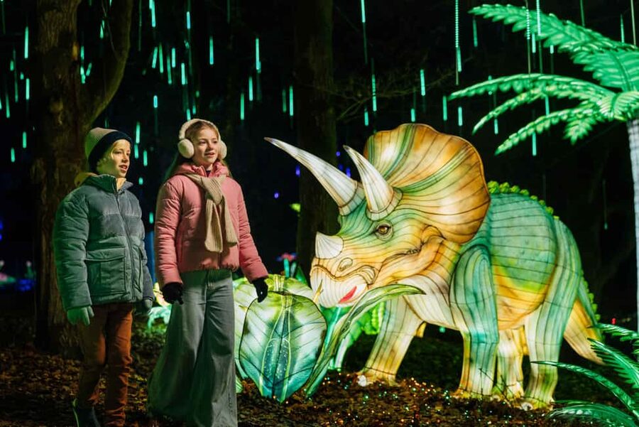Hilvarenbeek: Light Safari at Beekse Bergen - The illuminated route: 5,000 animals, plants, and flowers