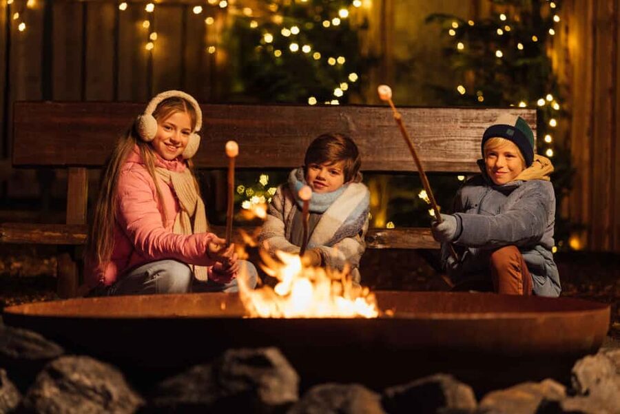 Hilvarenbeek: Light Safari at Beekse Bergen - Tickets, value, and what is not included