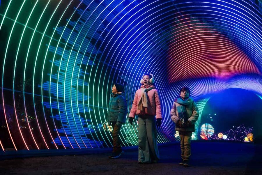 Hilvarenbeek: Light Safari at Beekse Bergen - Who this works best for (and who might want something else)
