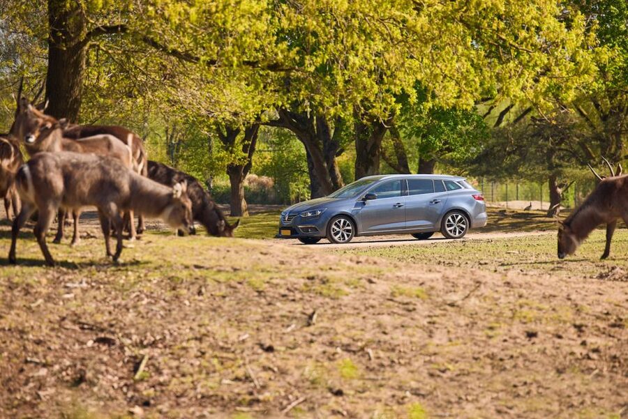 Hilvarenbeek: Safaripark Beekse Bergen Entry Ticket - Choosing your day plan: walking trail, car safari, or boat ride