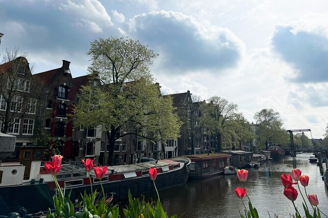 Historical Walking Tour, private with local Dutch guide - Should you book this historical walking tour?