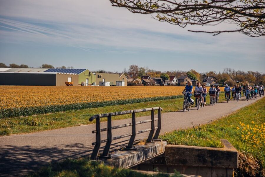 Keukenhof: Flower Fields Small-Group Cultural Bike Tour - The small-group advantage, and why it changes the ride