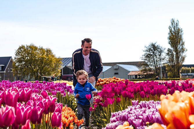 Keukenhof Gardens and Tulips Private Tour from Amsterdam - Why This Keukenhof Day Trip Feels Effortless From Amsterdam