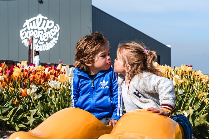 Keukenhof Gardens and Tulips Private Tour from Amsterdam - Price Check: What $383.44 Per Person Buys You