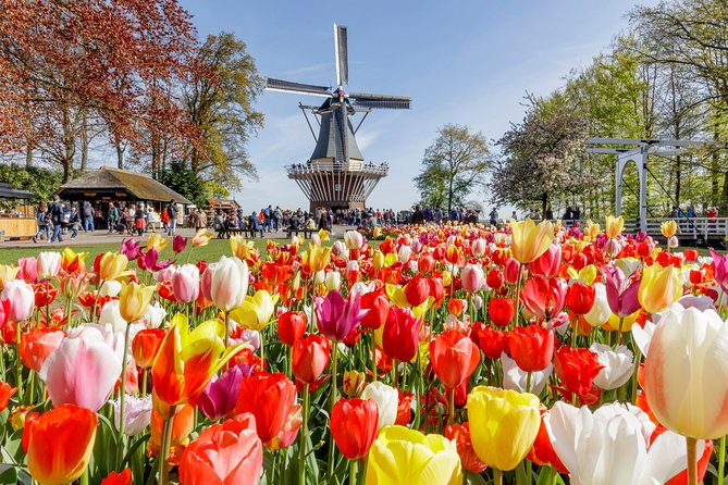 Keukenhof Gardens & Tulip Experience Tour from Amsterdam - Keukenhof Gardens: 3.5 hours across 32 hectares of bulb patterns