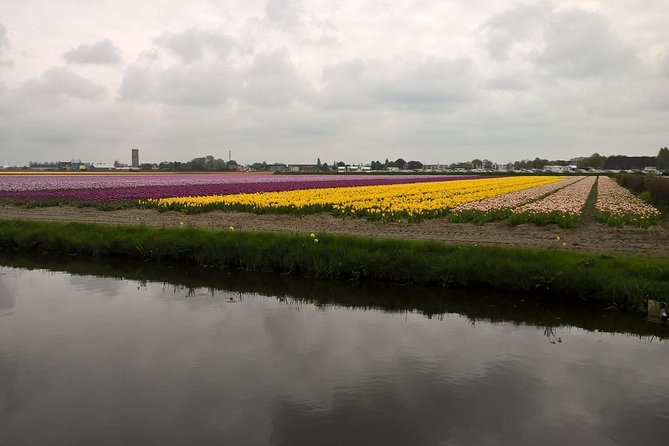 Keukenhof's Tulips and Windmills Small-Group Tour from Amsterdam - The Clogs and Gouda Stops: Where Craft Turns Into Something You Can Taste