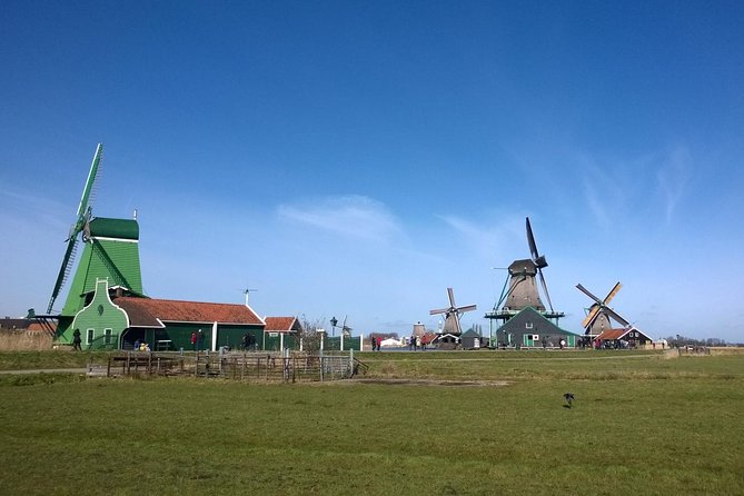 Keukenhof's Tulips and Windmills Small-Group Tour from Amsterdam - Transportation Comfort and the Pace of the Day
