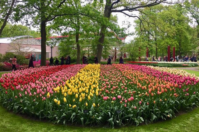 Keukenhof's Tulips and Windmills Small-Group Tour from Amsterdam - Price and Value: Is $133.08 Worth It?