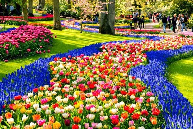 Keukenhof Skip-the-line Tickets: Countryside & Farm Private Tour - Key Highlights to Know Before You Go