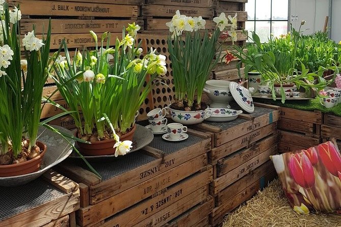 Keukenhof Skip-the-line Tickets: Countryside & Farm Private Tour - What This Private Keukenhof Day Really Gets You