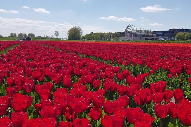 Keukenhof Skip-the-line Tickets: Countryside & Farm Private Tour - Mercedes Comfort, Private Transport, and the Pace of an 8-Hour Day