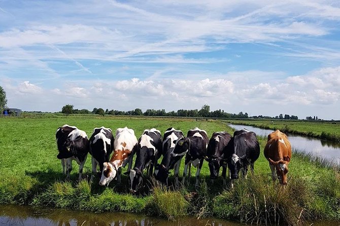 Keukenhof Skip-the-line Tickets: Countryside & Farm Private Tour - Price and Value: When $548.47 Makes Sense