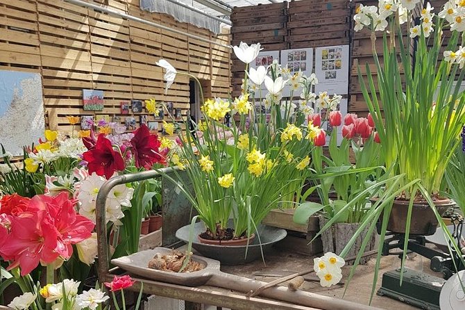 Keukenhof Skip-the-line Tickets: Countryside & Farm Private Tour - Zaanse Schans Windmills on the Zaan River