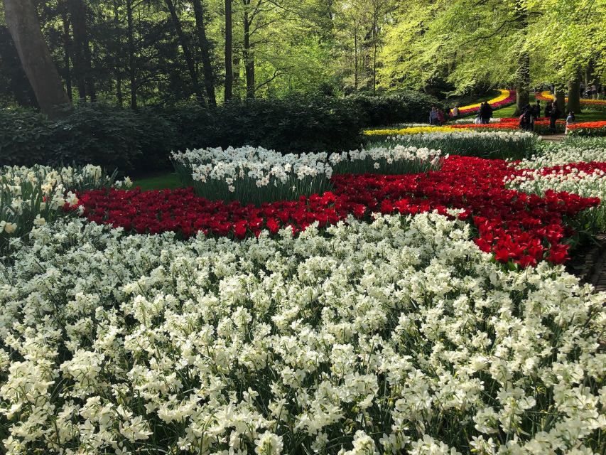 Keukenhof, Tulip Farm, Flower Fields & Windmills - Key Highlights You Should Know