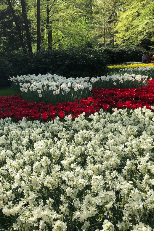 Keukenhof, Tulip Farm, Flower Fields & Windmills - Beemster UNESCO Countryside and a Working Mill Visit