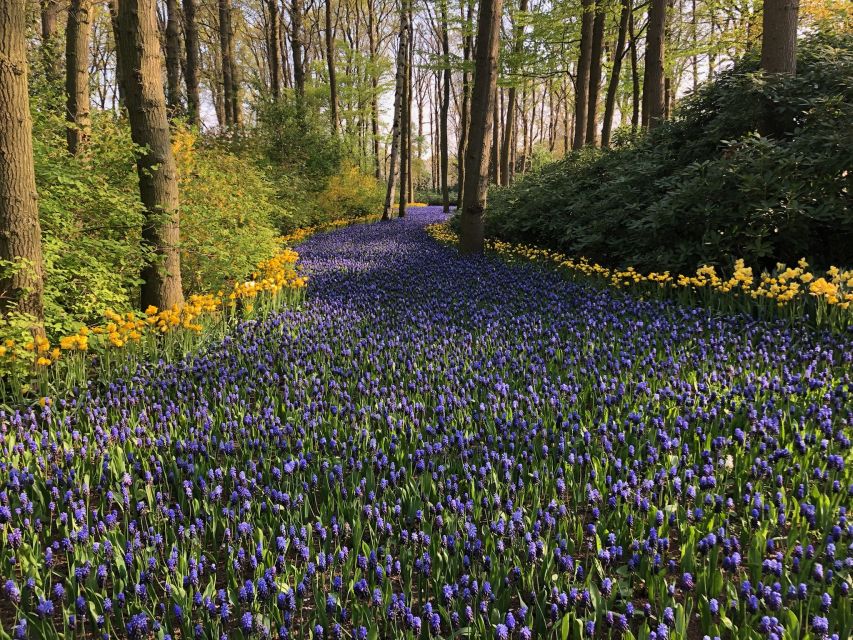 Keukenhof, Tulip Farm, Flower Fields & Windmills - Volendam and Marken: Colorful Houses and a Slower Island Walk