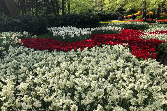 Keukenhof, Tulip Farm, Flower Fields & Zaanse Schans Windmills - Door-to-door comfort from Amsterdam, without the hassle