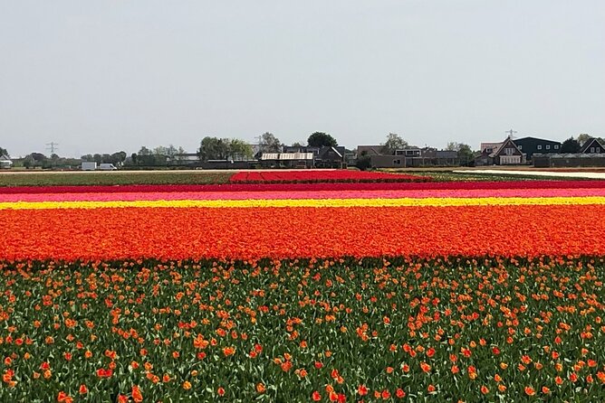Keukenhof, Tulip Farm, Flower Fields & Zaanse Schans Windmills - Timing that actually works: how the 7 hours 15 minutes plays out